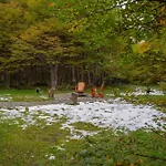 Cabana En El Bosque De Llanos Del Castor